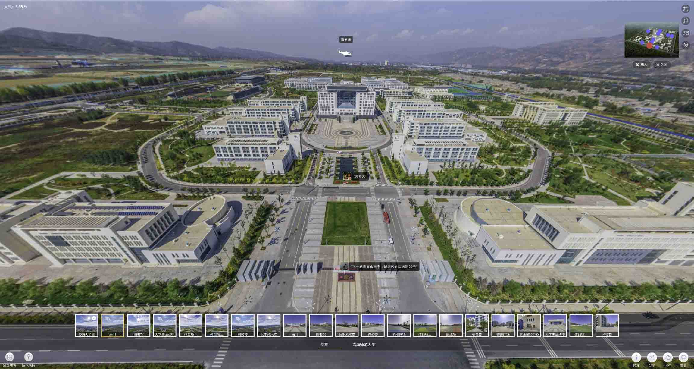 西和油菜花-惊艳半生的花海仙境